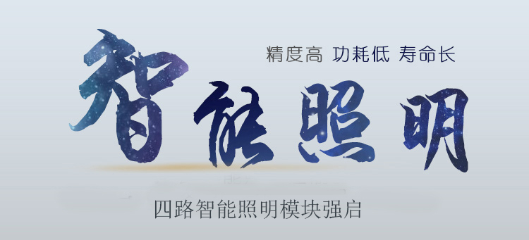 4路獨(dú)立智能照明控制模塊帶強(qiáng)啟 RKL-M04Q